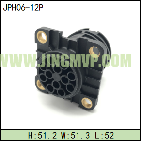 JPH06-12P