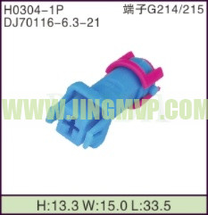 JP-H0304-1P