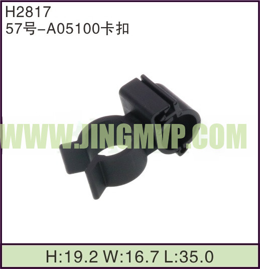JP-H2817